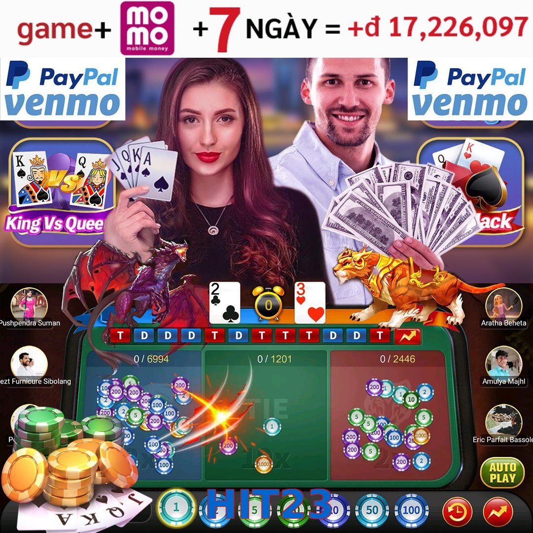 HIT23