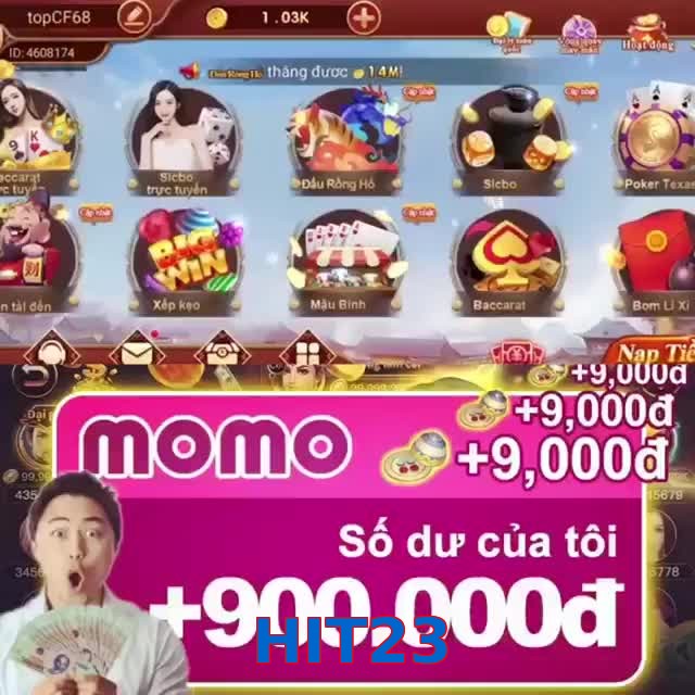 HIT23