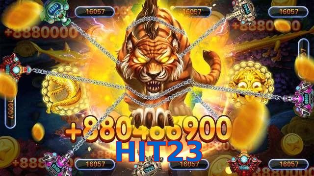 HIT23