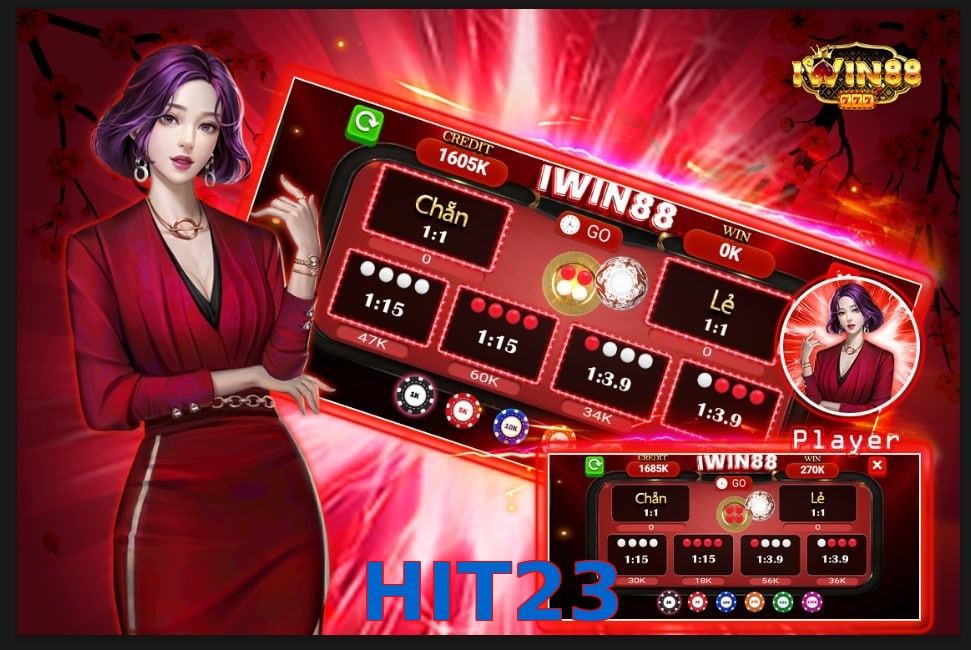 HIT23