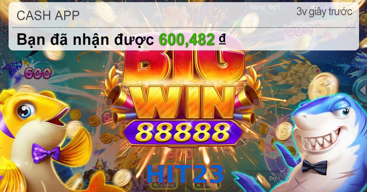 HIT23